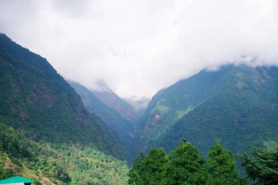 %EB%B3%B4%EC%A0%95__DSC1713.jpg?type=w1200