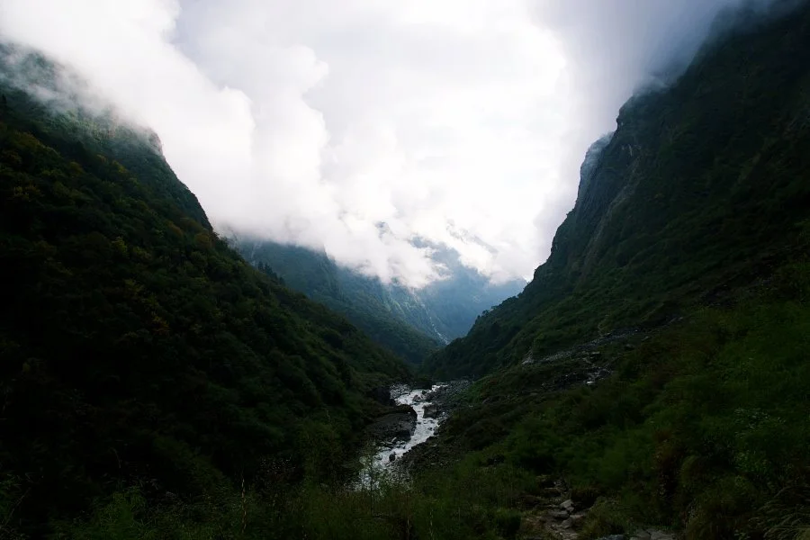 %EB%B3%B4%EC%A0%95__DSC1976.jpg?type=w1200