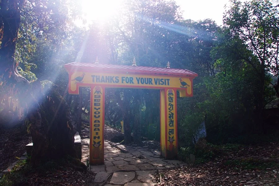 %EB%B3%B4%EC%A0%95__DSC1563.jpg?type=w1200