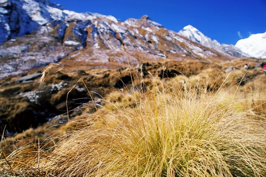 %EB%B3%B4%EC%A0%95__DSC2123.jpg?type=w1200