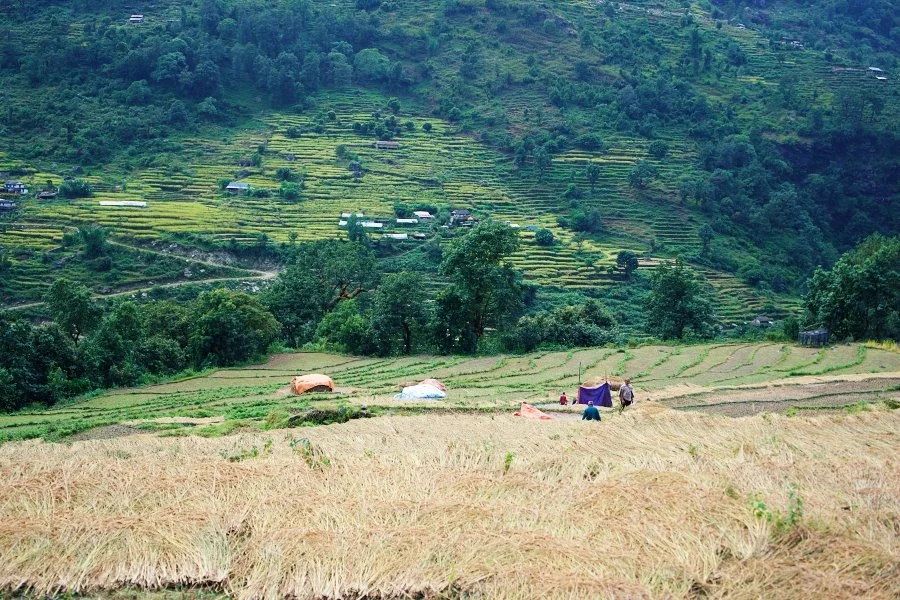 %EB%B3%B4%EC%A0%95__DSC1272.jpg?type=w1200