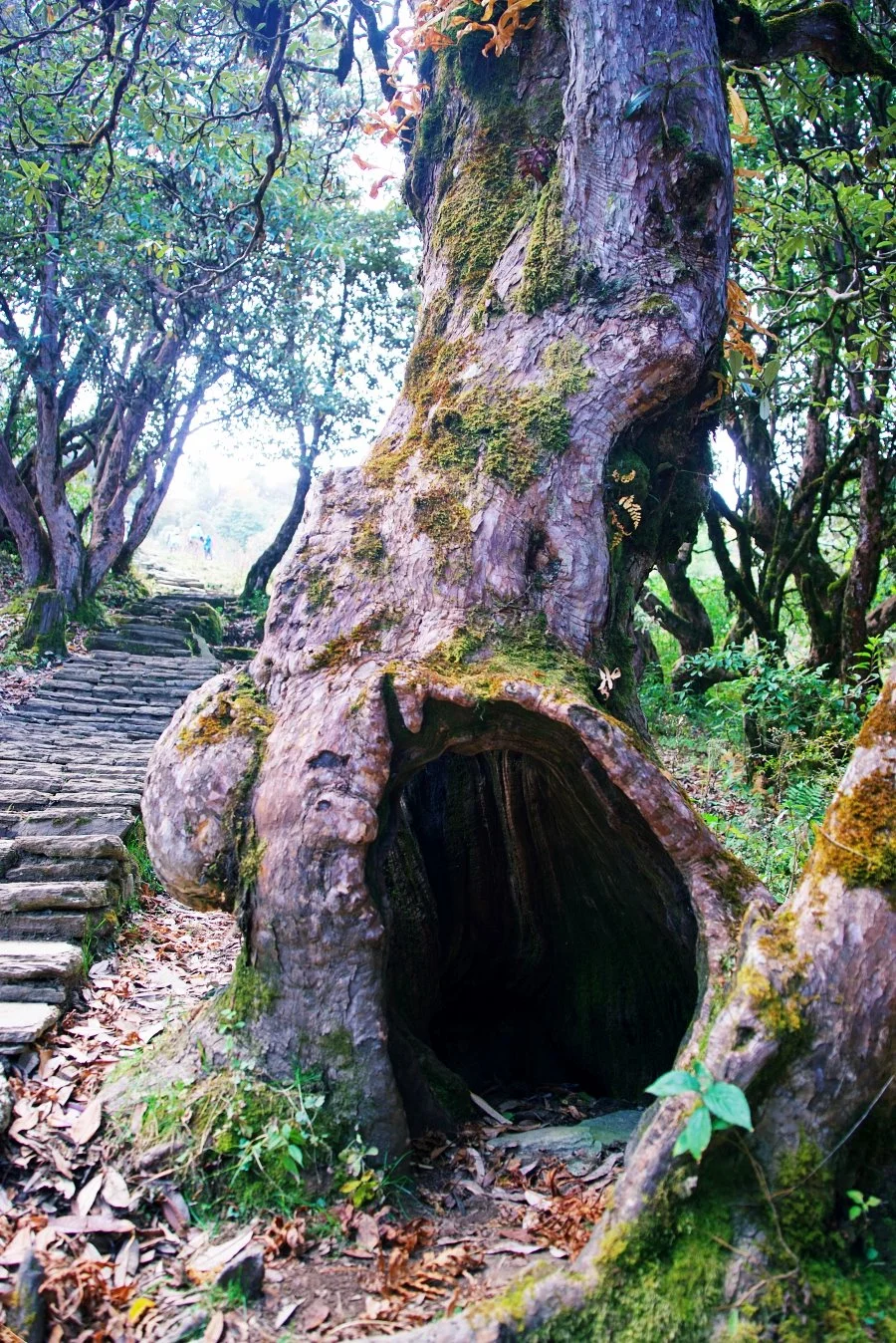 %EB%B3%B4%EC%A0%95__DSC1566.jpg?type=w1200