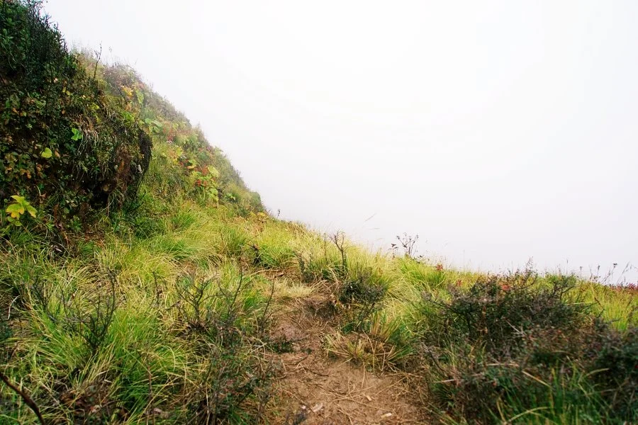 %EB%B3%B4%EC%A0%95__DSC1592.jpg?type=w1200