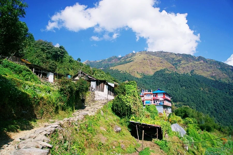 %EB%B3%B4%EC%A0%95__DSC1364.jpg?type=w1200