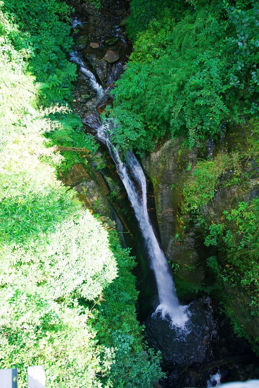 %EB%B3%B4%EC%A0%95__DSC1680.jpg?type=w1200