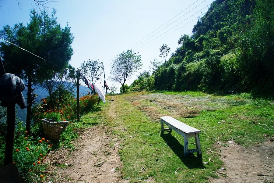 %EB%B3%B4%EC%A0%95__DSC1386.jpg?type=w1200