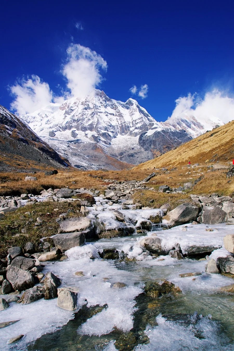 %EB%B3%B4%EC%A0%95__DSC2163.jpg?type=w1200