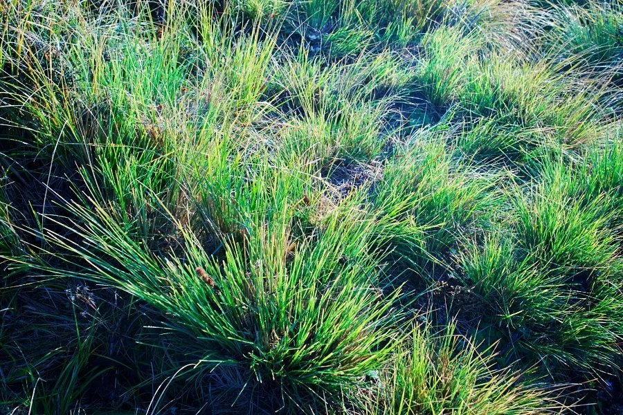 %EB%B3%B4%EC%A0%95__DSC1527.jpg?type=w1200