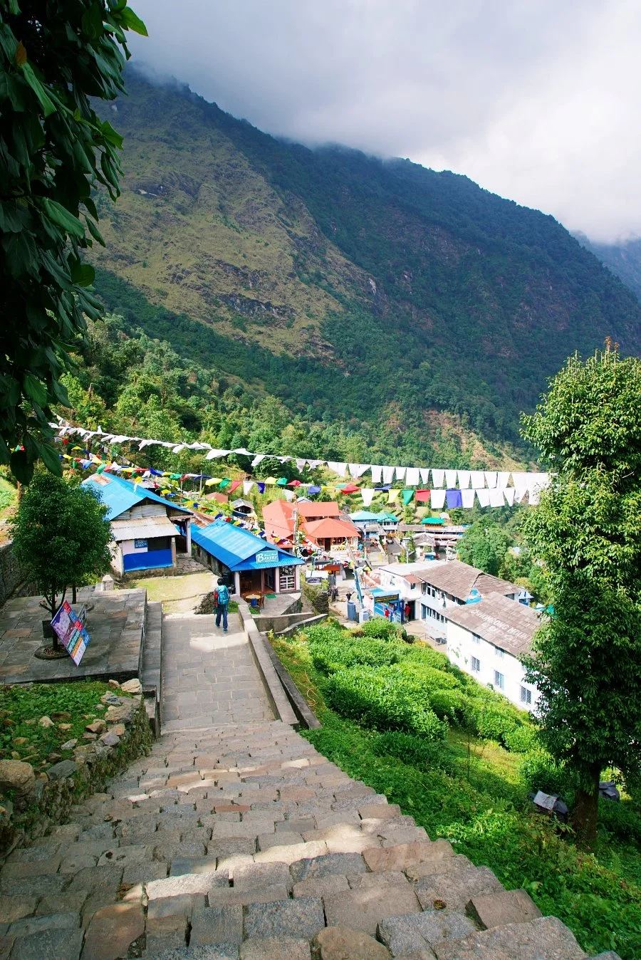 %EB%B3%B4%EC%A0%95__DSC1711.jpg?type=w1200