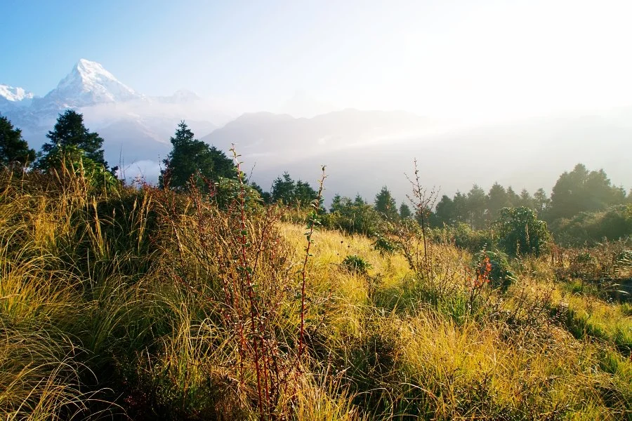 %EB%B3%B4%EC%A0%95__DSC1525.jpg?type=w1200