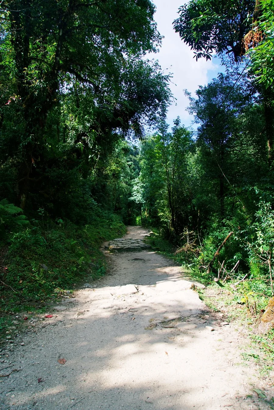 %EB%B3%B4%EC%A0%95__DSC1395.jpg?type=w1200