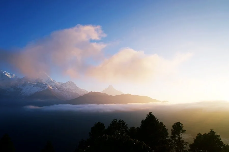 %EB%B3%B4%EC%A0%95__DSC1489.jpg?type=w1200