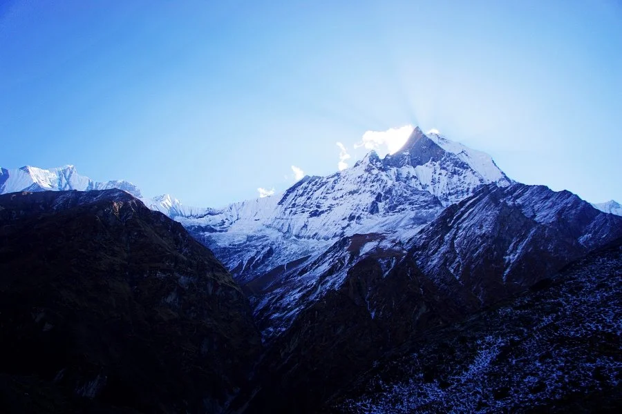 %EB%B3%B4%EC%A0%95__DSC2103.jpg?type=w1200