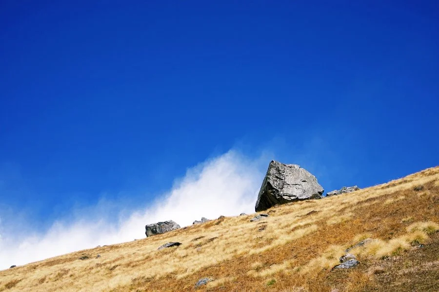 %EB%B3%B4%EC%A0%95__DSC2167.jpg?type=w1200