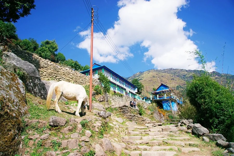 %EB%B3%B4%EC%A0%95__DSC1372.jpg?type=w1200