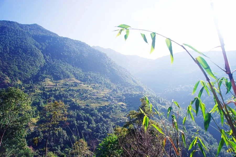 %EB%B3%B4%EC%A0%95__DSC1305.jpg?type=w1200