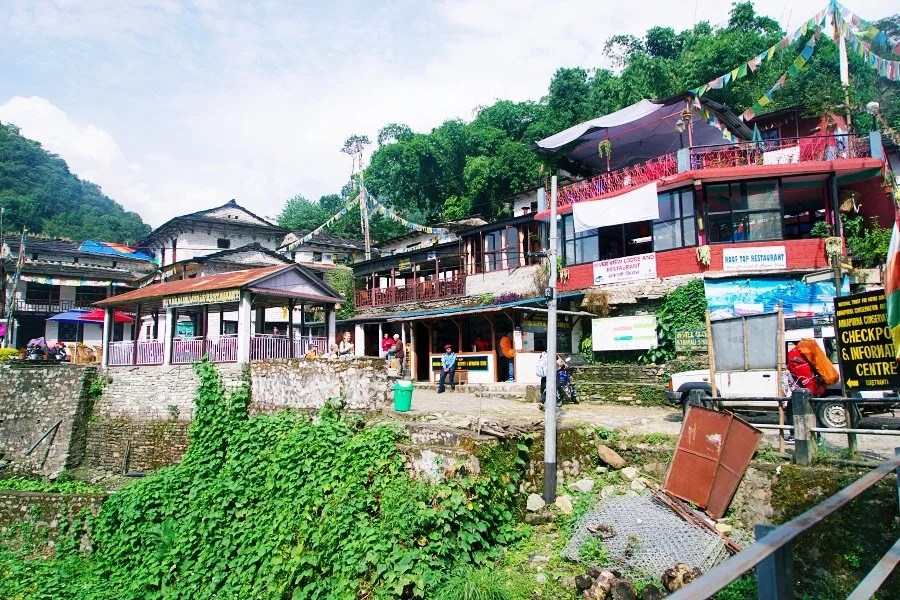 %EB%B3%B4%EC%A0%95__DSC1246.jpg?type=w1200