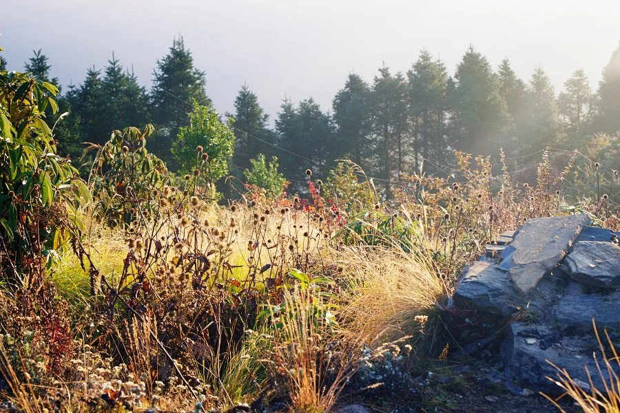 %EB%B3%B4%EC%A0%95__DSC1529.jpg?type=w1200