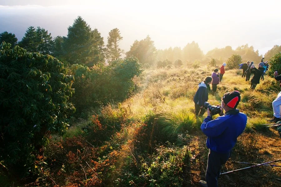 %EB%B3%B4%EC%A0%95__DSC1495.jpg?type=w1200