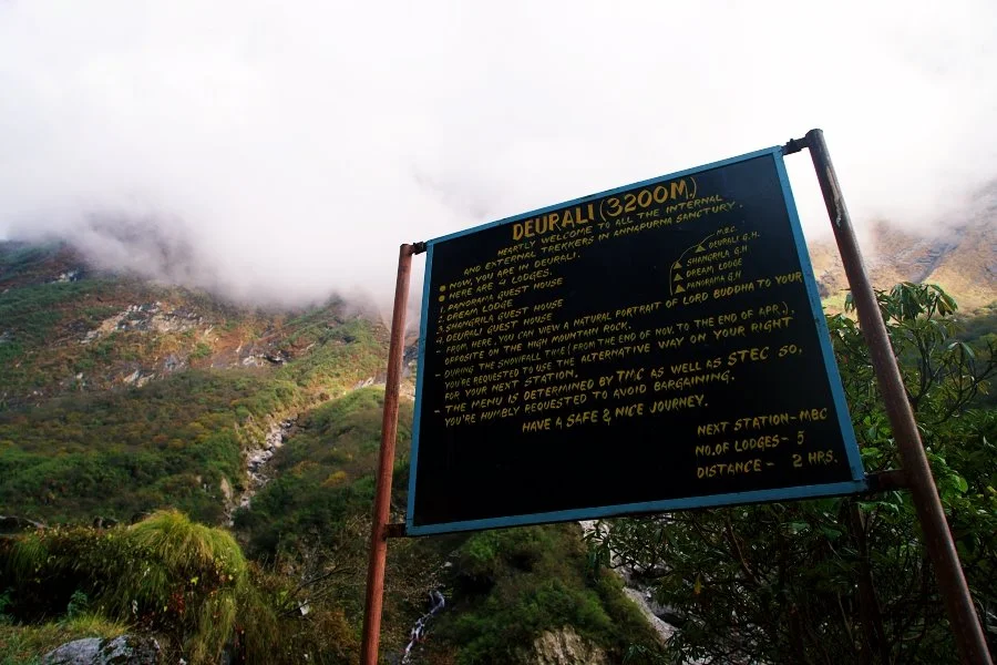 %EB%B3%B4%EC%A0%95__DSC1979.jpg?type=w1200