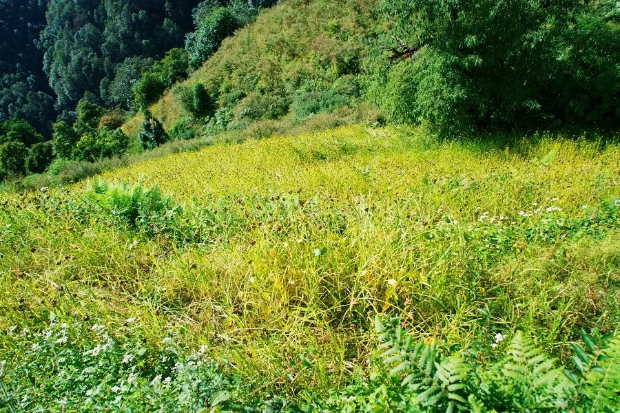 %EB%B3%B4%EC%A0%95__DSC1674.jpg?type=w1200