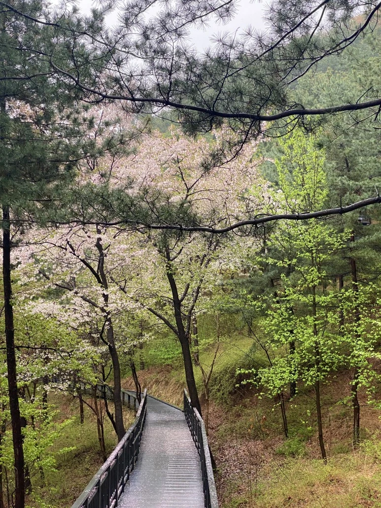 00BB28C7-E3E9-46CE-B1EF-017F098638C5_1_201_a.jpeg?type=w773