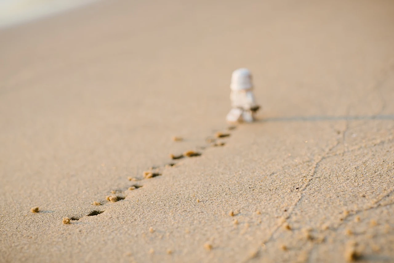 BoYrMOOLhV77UD_0JgK50SAHv3zUYg1vS3zKx8d1qD0ZcOPYxcb9IyWsEM6HaUgLUvr10ZhWPv48SGLu1eWVCDa-SBowzXuJg9JgeMYZbUuArjNC9Hh0aibfmzIHNNWCxLZfz5VU