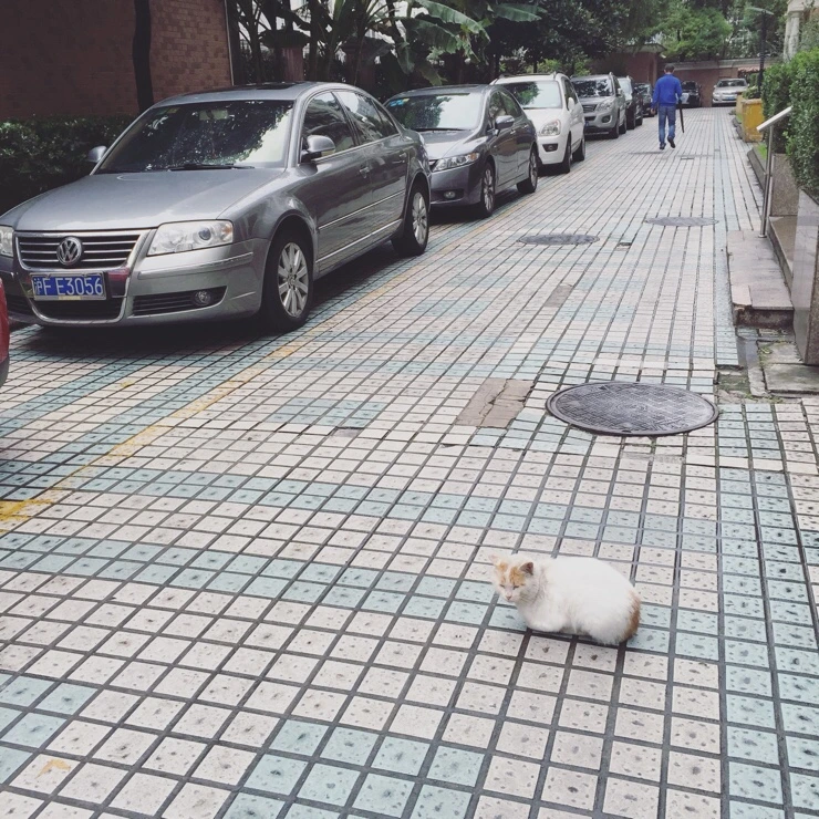 NaverBlog_20161017_174808_06.jpg?type=w2