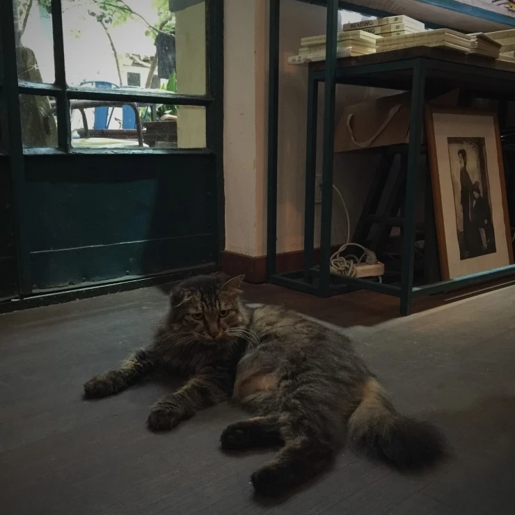 2016-08-01_183050.jpg?type=w2