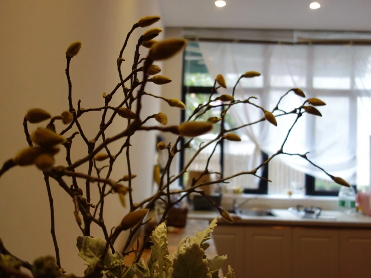 NaverBlog_20170224_000910_02.jpg?type=w2