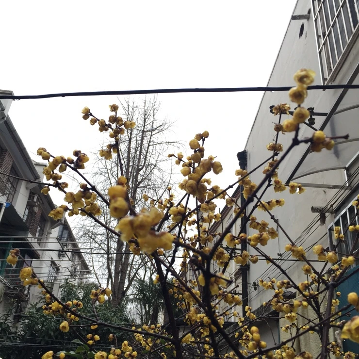 NaverBlog_20170223_005642_00.jpg?type=w2