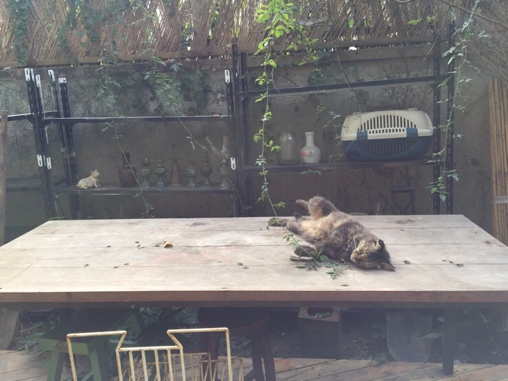 NaverBlog_20161017_174822_12.jpg?type=w2