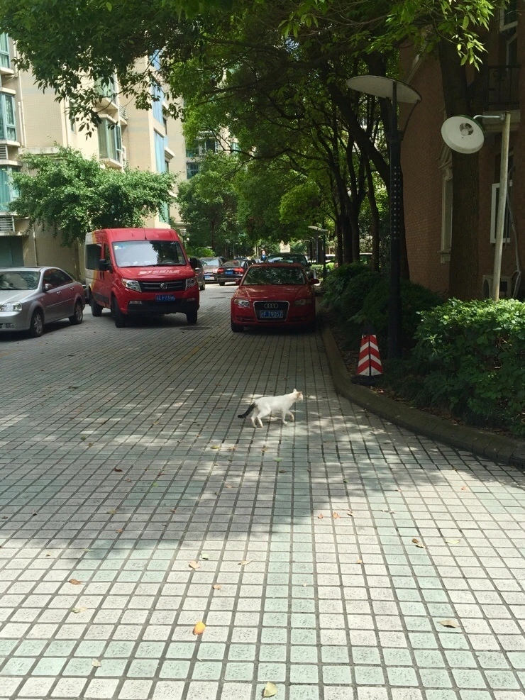 NaverBlog_20160708_004205_04.jpg?type=w2