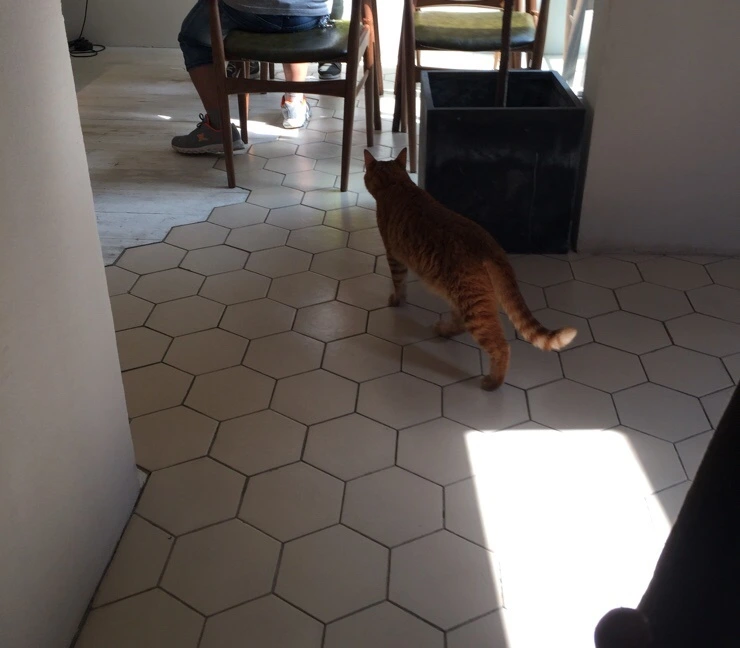 NaverBlog_20160721_014500_03.jpg?type=w2