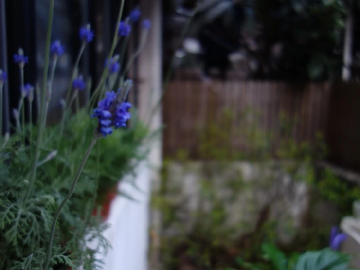 NaverBlog_20170224_000907_00.jpg?type=w2