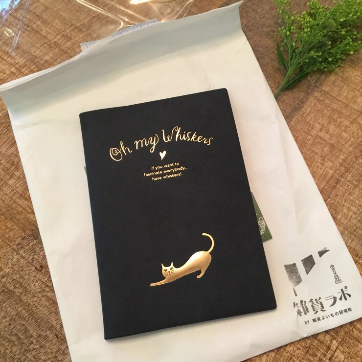 NaverBlog_20170221_002017_06.jpg?type=w2