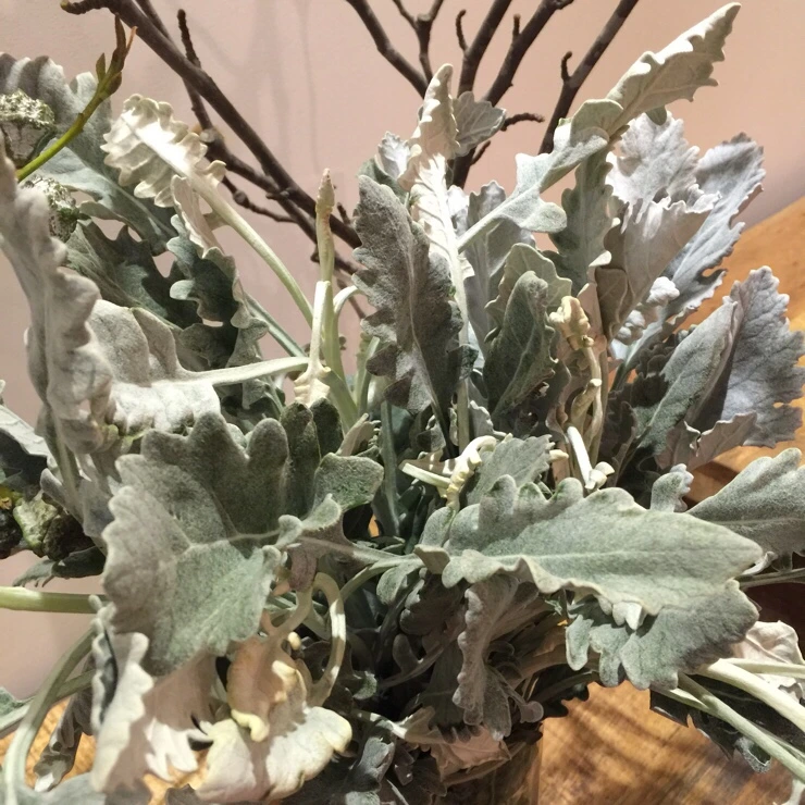 NaverBlog_20170224_000911_04.jpg?type=w2