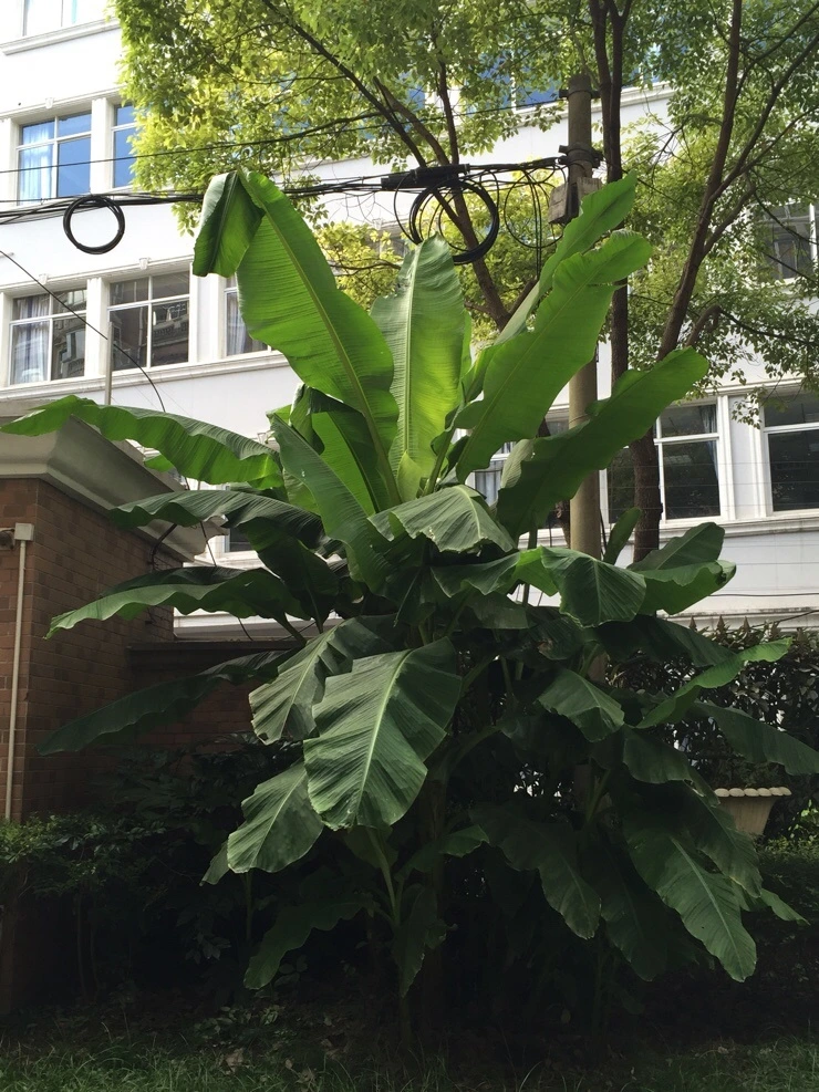 NaverBlog_20160711_024211_00.jpg?type=w2