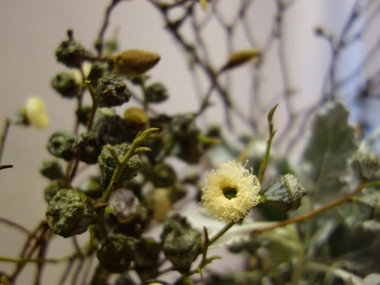 NaverBlog_20170224_000911_03.jpg?type=w2