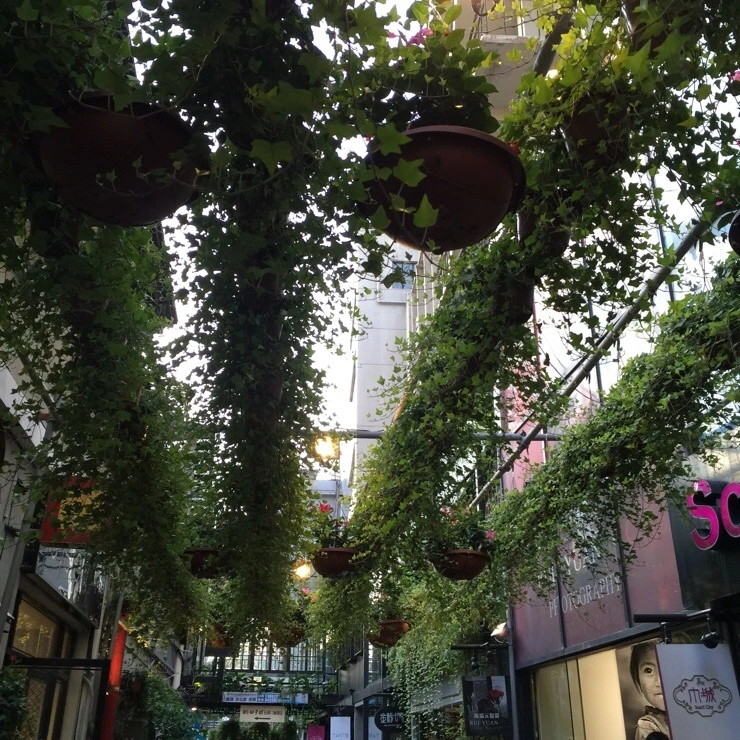 NaverBlog_20160721_014453_00.jpg?type=w2