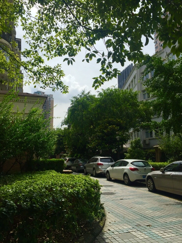 NaverBlog_20160708_004146_03.jpg?type=w2