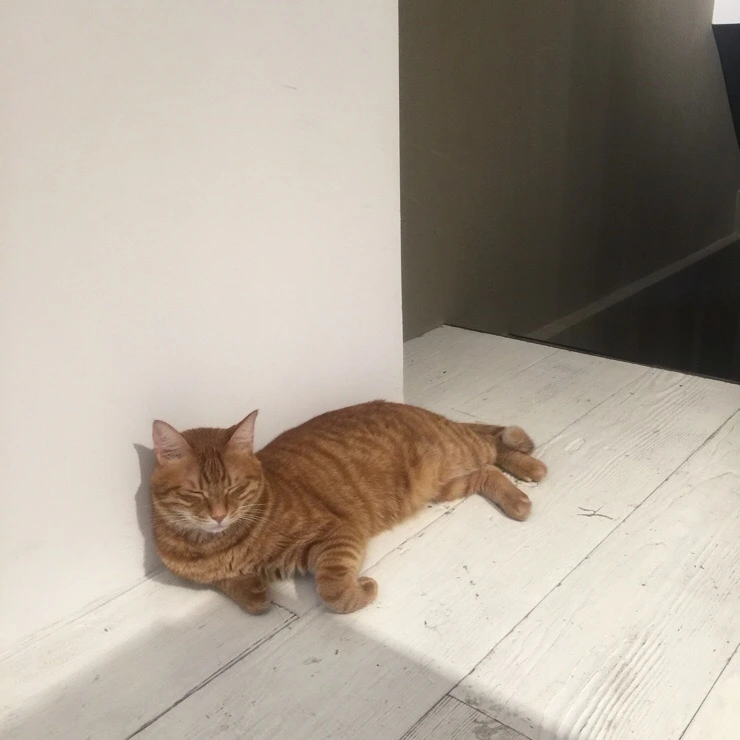 NaverBlog_20160721_014457_01.jpg?type=w2