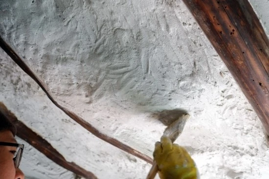 DSCF2215.JPG?type=w2