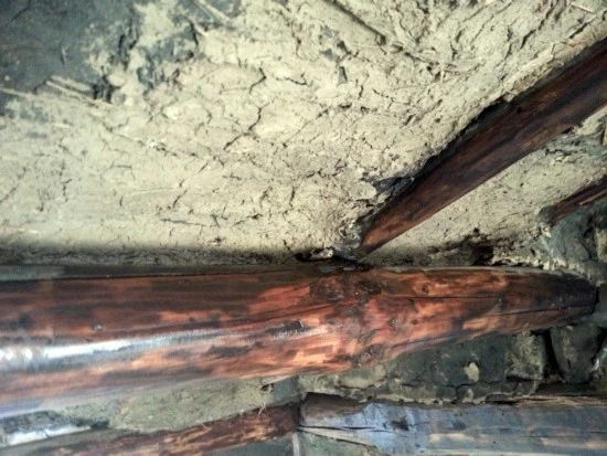 20150316_164748.jpg?type=w2