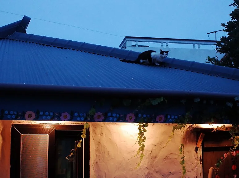 R0000301.JPG?type=w773