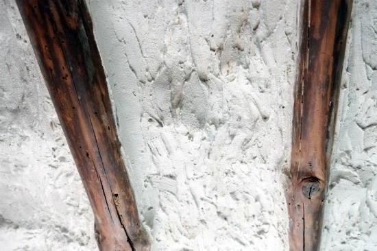 DSCF2216.JPG?type=w2