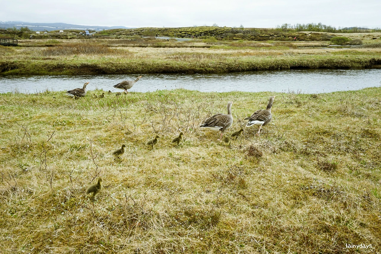 2352F63D5794ACA431184E