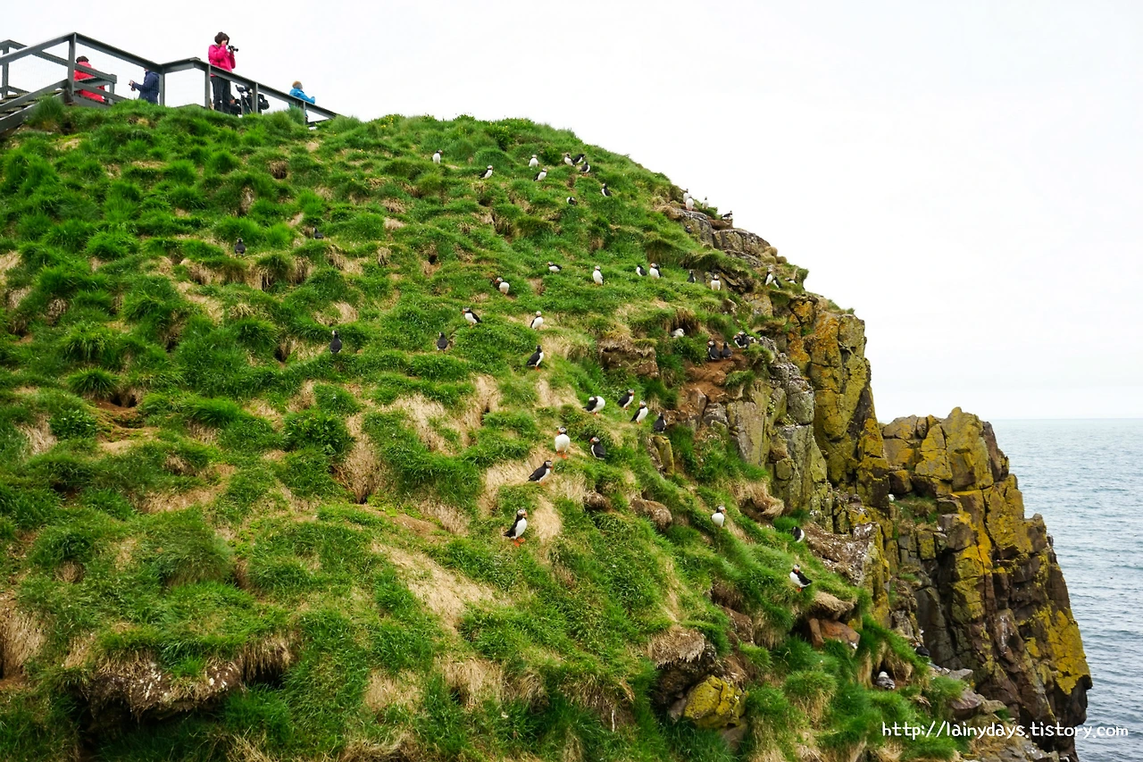 996FD83359D9C7EF29BA43