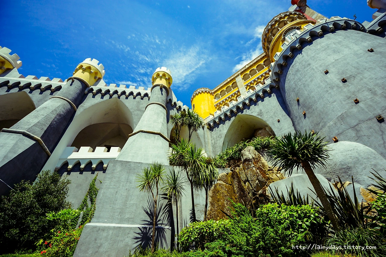 2226B742560D2B9D12B731