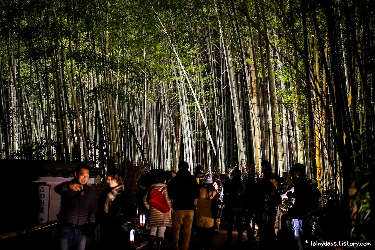 99BA3B3359DAC522266923